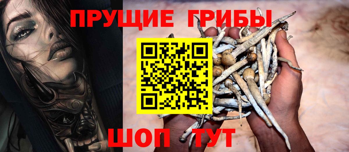 Псилоцибиновые грибы Psilocybe Дзержинский